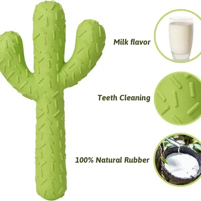 ZooVenture Jouet Cactus Chien - Caoutchouc Naturel, Hygiène Dentaire