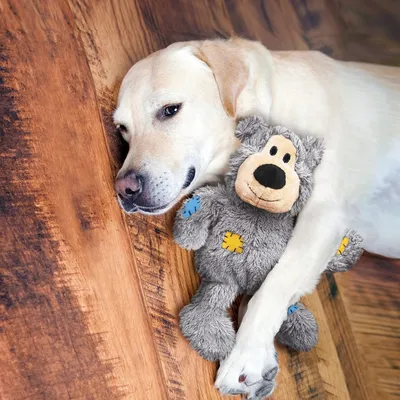 ZooVenture Peluche Ours Chien - Corde, Sons, Câlins
