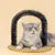 MCBOSON Massage- und Fellpflegebogen für Katzen, 36 x 34 cm