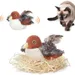FurryFusion Wiederaufladbares Vogelspielzeug für Katzen