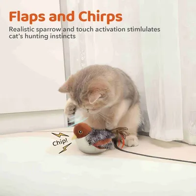FurryFusion Jouet d'oiseau rechargeable pour chat