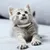 PetTribes Jouet Interactif Double Chat Balle+Mangeoire Lente