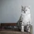 PetTribes Jouet Interactif Double Chat Balle+Mangeoire Lente