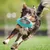 ZooVenture Boule Nourriture Chien UFO - Caoutchouc, Distributeur