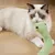 FurryFusion Peluche serpent pour animaux de compagnie