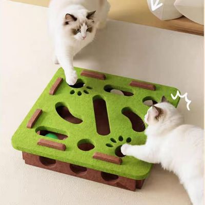 PetTribes Jouet Labyrinthe Interactif Vert Carré pour Chat
