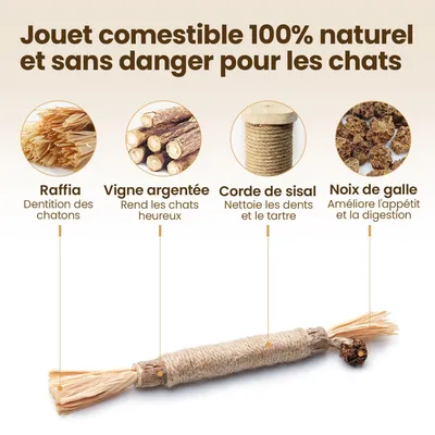 PetTribes Jouet à Mâcher Bâtonnets Naturels pour Chat (Lot de 6)