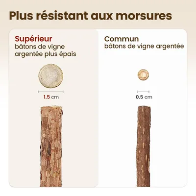 PetTribes Jouet à Mâcher Bâtonnets Naturels pour Chat (Lot de 6)
