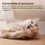 PetTribes Jouet à Mâcher Bâtonnets Naturels pour Chat (Lot de 6)