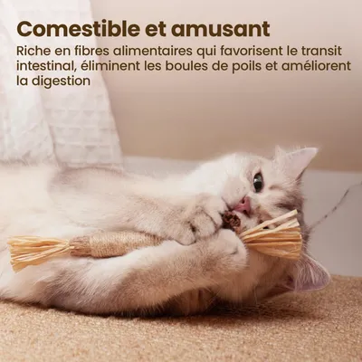 PetTribes Jouet à Mâcher Bâtonnets Naturels pour Chat (Lot de 6)