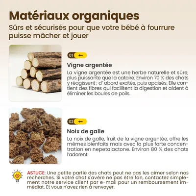 PetTribes Jouet à Mâcher Bâtonnets Naturels pour Chat (Lot de 6)
