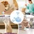 ZooVenture Baleine Rose Jouet Flottant Chat