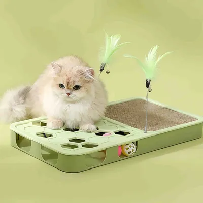 FurryFusion Jeu de recherche pour chat