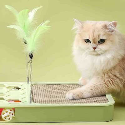 FurryFusion Jeu de recherche pour chat