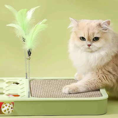 FurryFusion Jeu de recherche pour chat