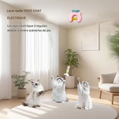 ZooVenture Jouet Chat Interactif - Suspente, ABS, Rechargeable