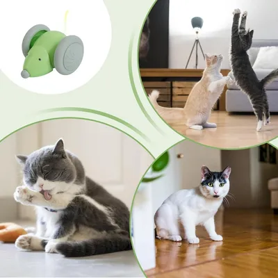ZooVenture Jouet Chat Souris Intelligent Tactile