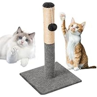 ZooVenture Griffoir Chat Sisal - Base Stable, Balle Suspendedue