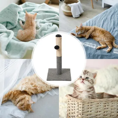 ZooVenture Griffoir Chat Sisal - Base Stable, Balle Suspendedue