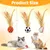 ZooVenture Lot 6 Jouets Sport Chat Colorés