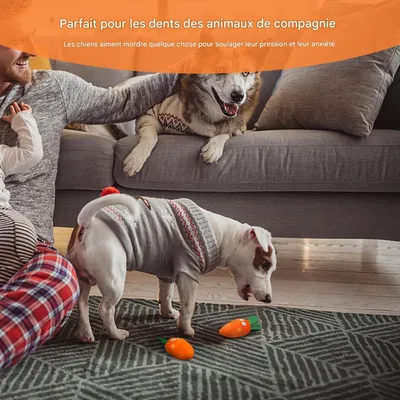 FurryFusion Jouet carotte sonore en peluche pour chiens et chats