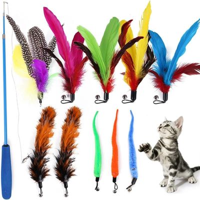 ZooVenture Jouets Chat - Instinct Chasse, Exercice, Variété