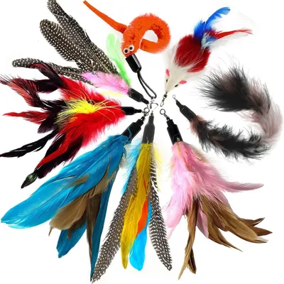 ZooVenture Jouets Chat - Instinct Chasse, Exercice, Variété