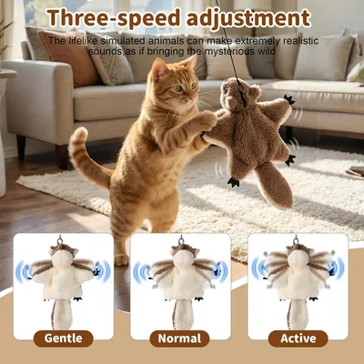 MCBOSON (Rechargeable Herbe à chat) Jouet Oiseau Volant