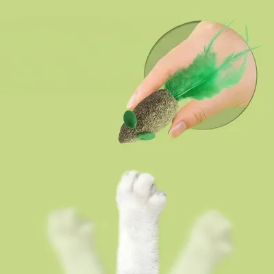 FurryFusion Jouet souris en catnip pour chat