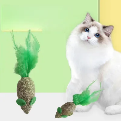 FurryFusion Jouet souris en catnip pour chat