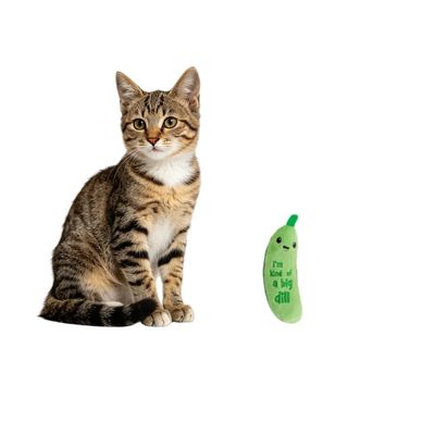 MCBOSON Jouet Dentaire Cornichon Croquant Herbe À Chat