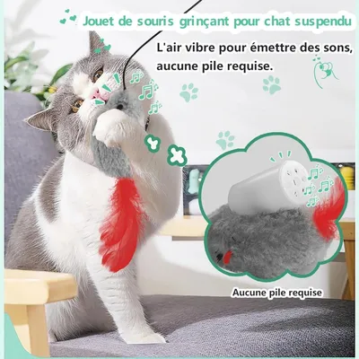 ZooVenture Souris Interactive Chat - 3 Pièces