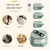 PetTribes Jouet pour Chat Tapis de Course Interactif