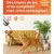 ZooVenture Pointeur Laser Chat 7-en-1