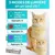 ZooVenture Pointeur Laser Chat 7-en-1