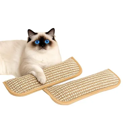 FurryFusion Oreiller de catnip et planche à griffer en jute