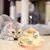 Zoomtopia Jouet pour Chat 4 couches pour chat puzzle interactif jaune