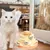 Zoomtopia Jouet pour Chat 4 couches pour chat puzzle interactif jaune
