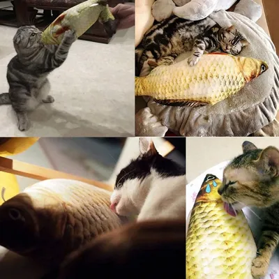 PetTribes Jouet Poisson Électrique Chat Rechargeable USB