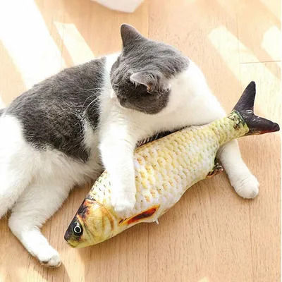 PetTribes Jouet Poisson Électrique Chat Rechargeable USB
