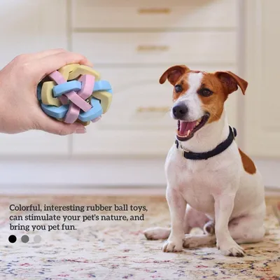 PetTribes Jouet à Mâcher Balle Interactive pour Furet