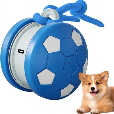 Pawffee Balle jouet interactive pour chat et chien - bleu