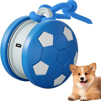 Pawffee Balle jouet interactive pour chat et chien - bleu