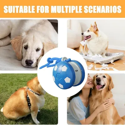 Pawffee Balle jouet interactive pour chat et chien - bleu