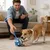 Pawffee Balle jouet interactive pour chat et chien - bleu