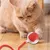 PetTribes Balle Interactive USB Rechargeable : 3 Modes, Auto-Mouvement