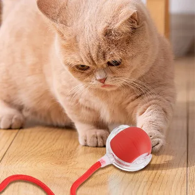 PetTribes Balle Interactive USB Rechargeable : 3 Modes, Auto-Mouvement