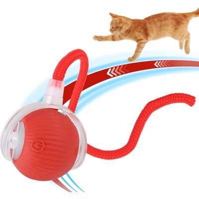 PetTribes Balle Interactive USB Rechargeable : 3 Modes, Auto-Mouvement