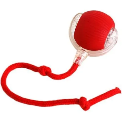 PetTribes Balle Interactive USB Rechargeable : 3 Modes, Auto-Mouvement