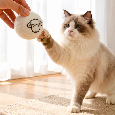 FurryFusion Balle de laine silencieuse pour chats et chiens